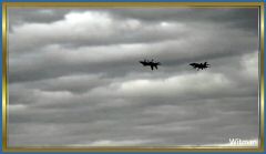 BlueAngel31018 (116).jpg